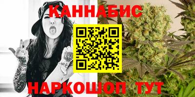 стаф Моздок