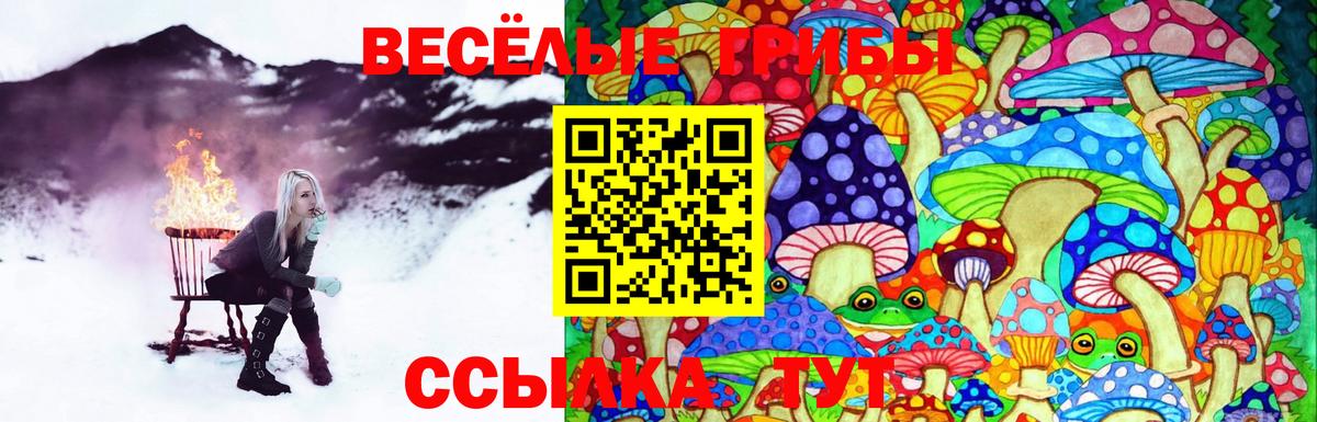 Псилоцибиновые грибы MAGIC MUSHROOMS Тамбов