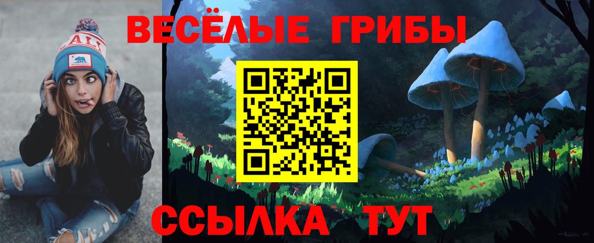 Псилоцибиновые грибы MAGIC MUSHROOMS  Вход с VPN  Псилоцибиновые грибы мухоморы  Тамбов 